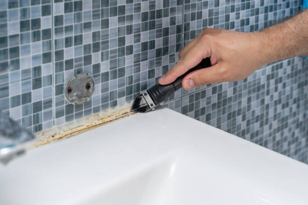 Home Mold Removal in St Albans, WV