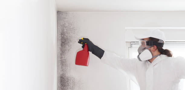 Best Mold Testing  in St Albans, WV